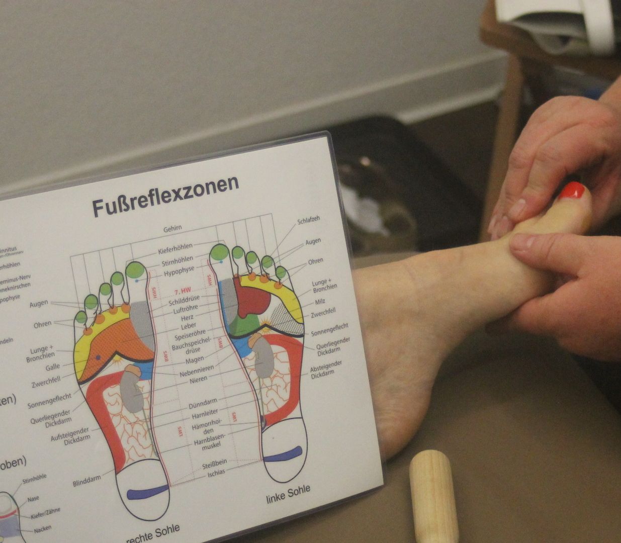 Fußreflexzonenmassage Veranschaulichung der einzelnen Fußpartien.